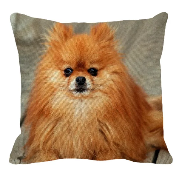 XUNYU Pomeranian Print Linen Pilllowcase Home Sofa Square Cushion cover Animal Dog Pattern Pillow cover AC105 - Цвет: 1