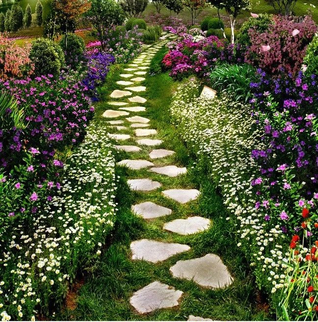 584805df698db24ef8e2a5ee-1-original