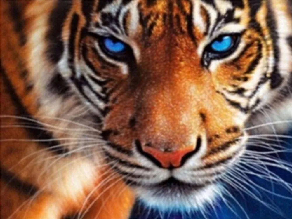 Сделай сам Диамант пинтура животное do tigre padrão strass ponto da cruz de diamante pintura decoração casa |