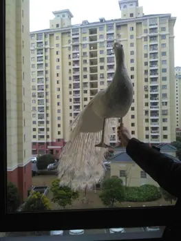 

large 100cm white feathers peacock model simulation peacock beautiful bird handicraft prop,home garden decoration gift p2080