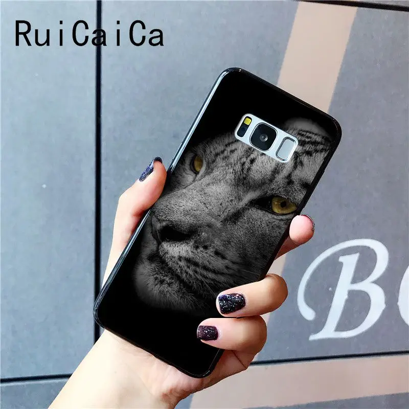 tiger fashion