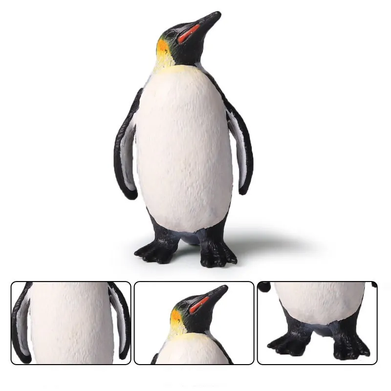 penguin (6)