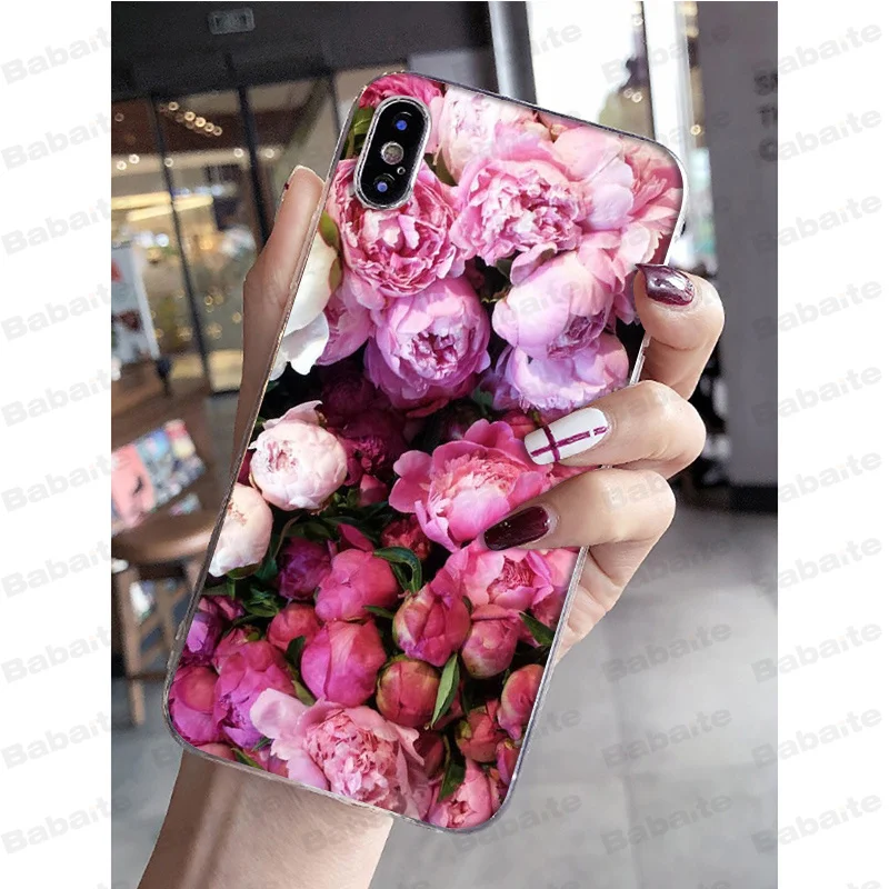 Pink Purple Peony
