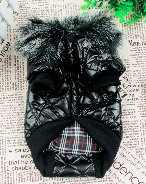 PC1175a (1)