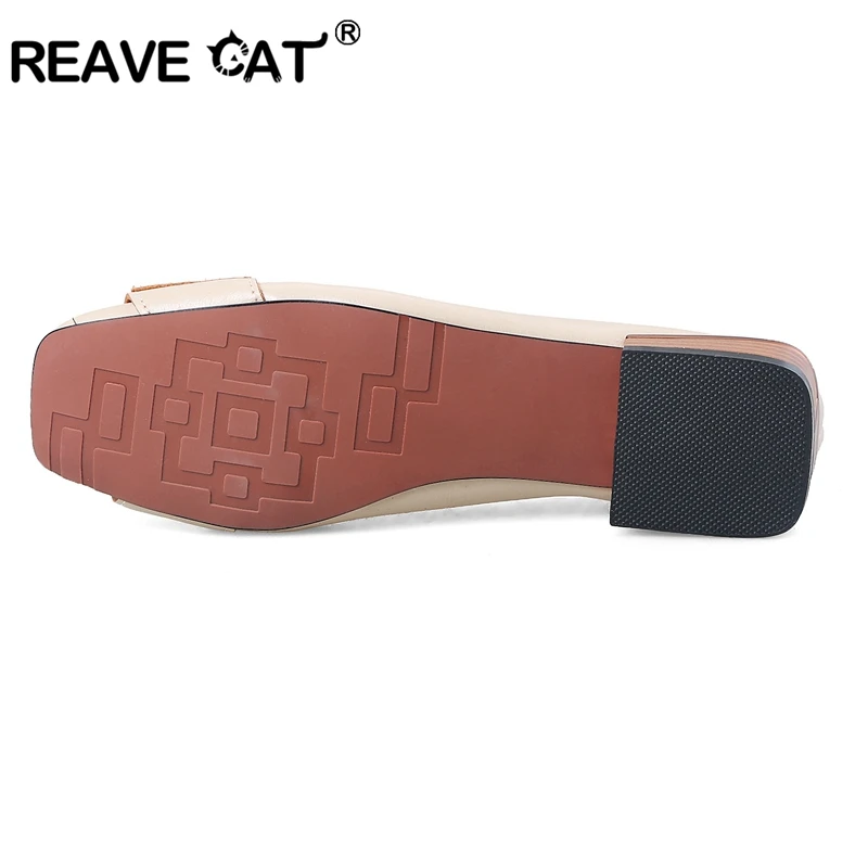 REAVE CAT/Женская обувь; женская обувь на плоской подошве с квадратным каблуком и пряжкой; модная пикантная мягкая обувь высокого качества; повседневная женская обувь