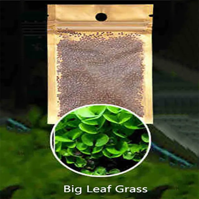 5 Pack Water Plant Seeds Aquarium Seeds Easy Aquatic Live Grow Plant