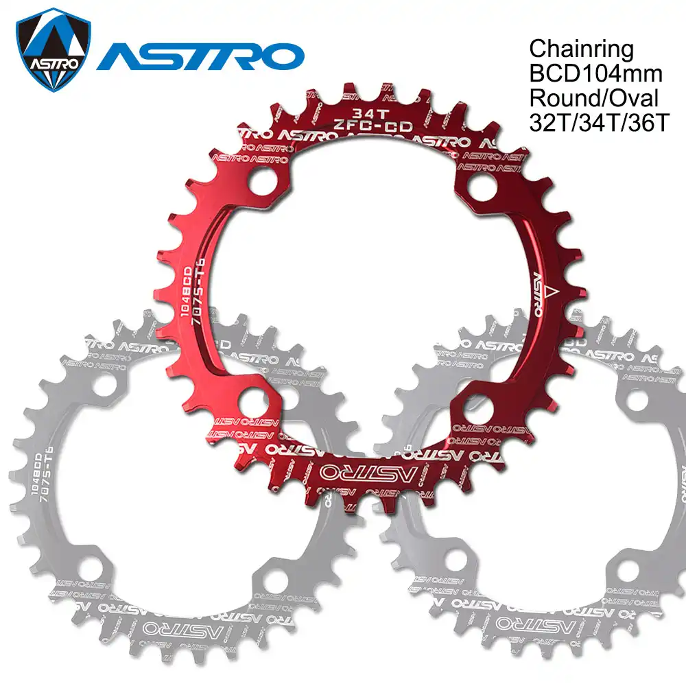 oval chainring single speed