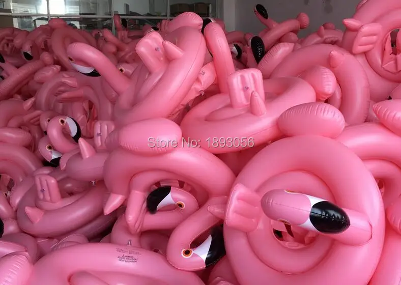 flamingos