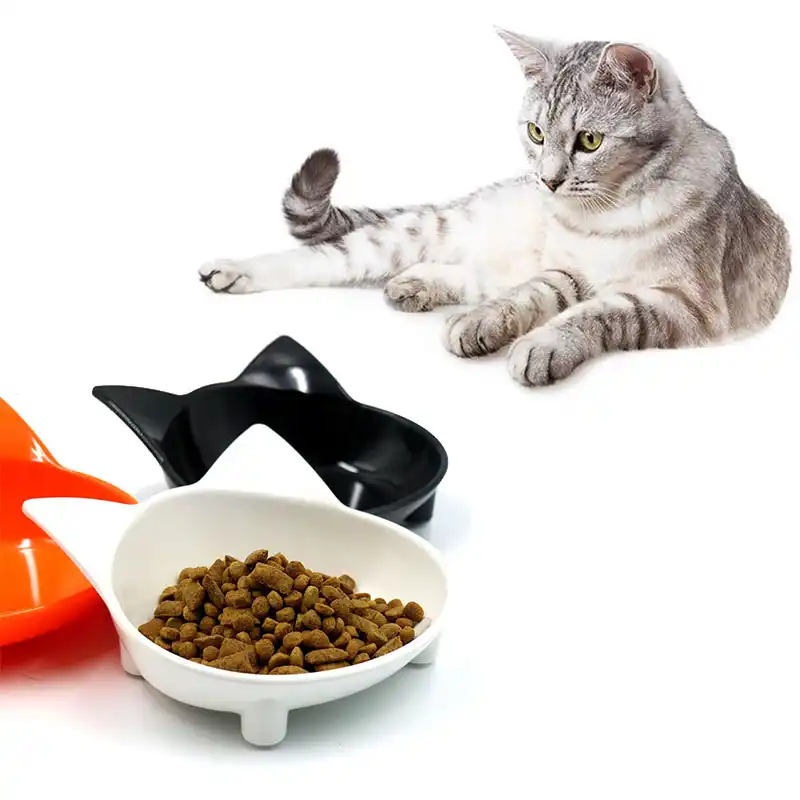 small cat bowls