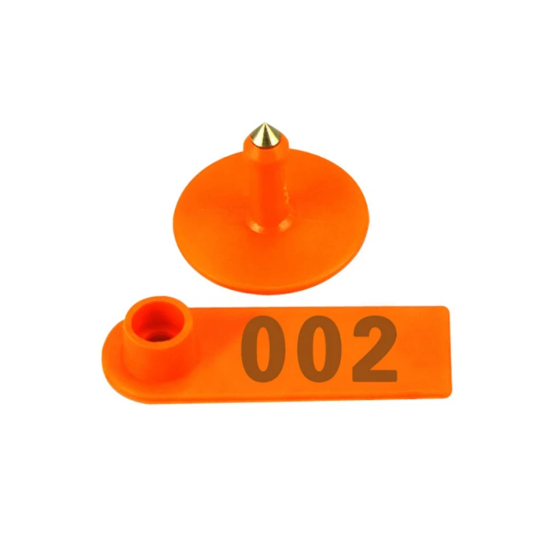 HTB1Sx3UngaTBuNjSszfq6xgfpXaA