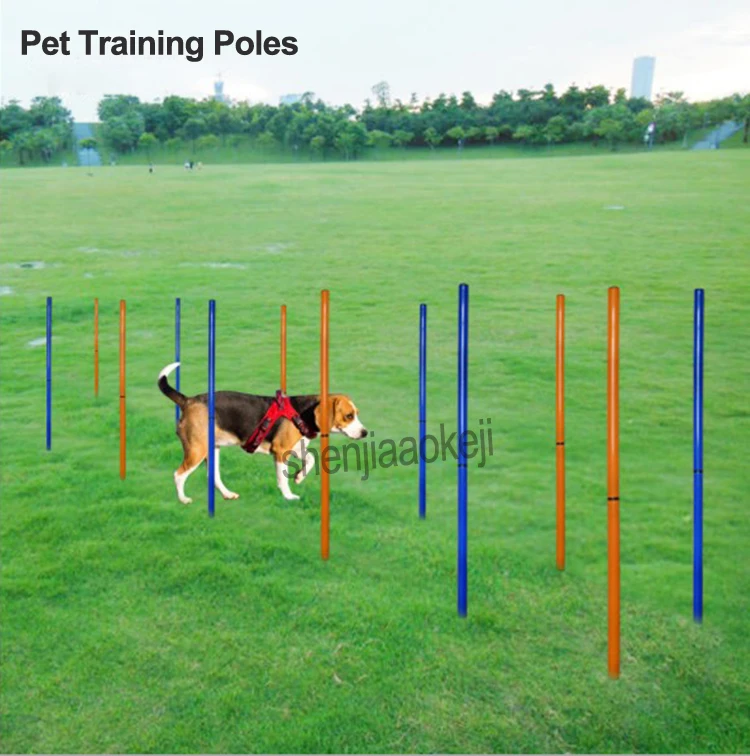 SET OF 6 SOLID AGILITY TRAINING POLES FOR SOCCER SPORTS WEAVING SPEED DOG 