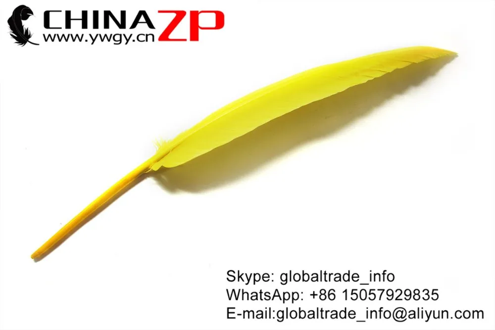 Duck Pointer Primary Wing Feathers-Yellow (6)