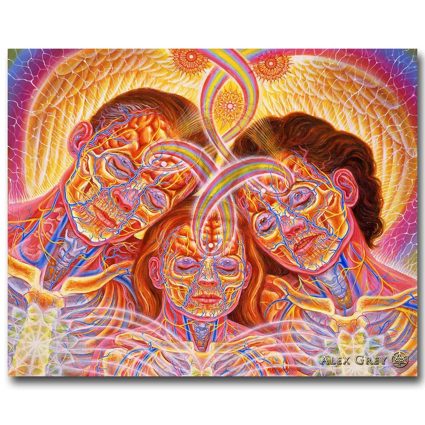 Trippy Alex Gray Abstract Art Silk Fabric Poster Canvas Print 13x20