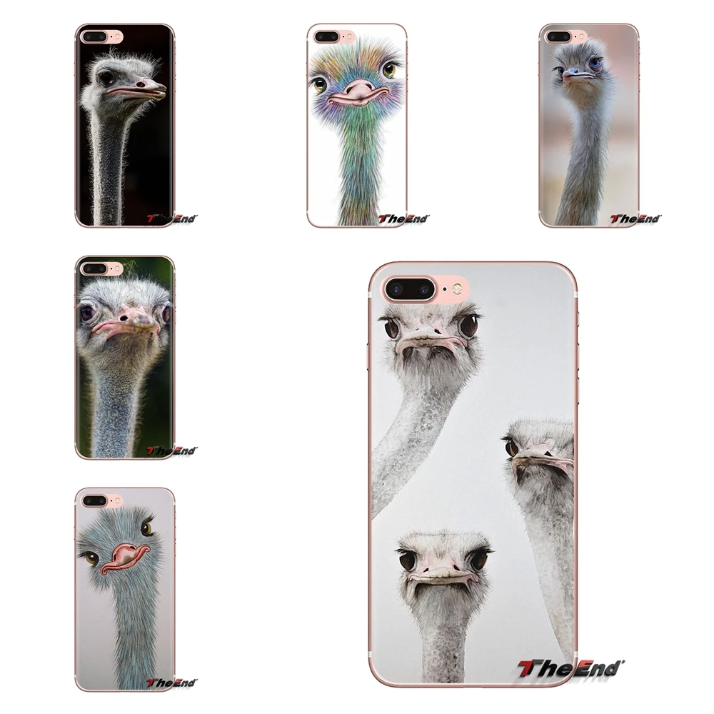 Ostrich Africa Wildlife Ostriches For Sony Xperia Z Z1 Z2 Z3 Z5 compact M2 M4 M5 C4 E3 T3 XA Huawei Mate 7 8 Y3II TPU Case Cover |