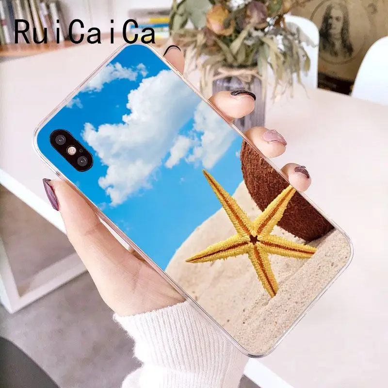 Clear sea sky beach starfish
