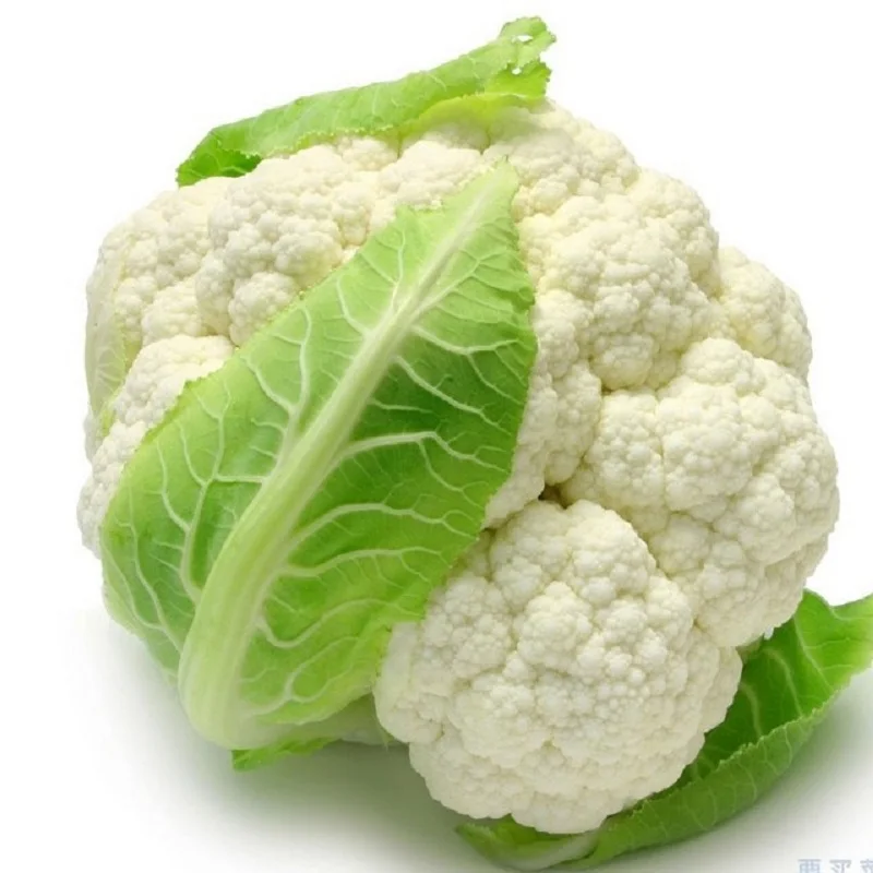 Cauliflower Seeds 10Pcs Best Seeds Online Free Shipping Worldwide