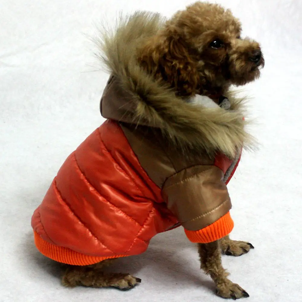 Bigeyedog Winter Dog Coat Jacket Warm Dog Clothes Poodle Bichon Pet
