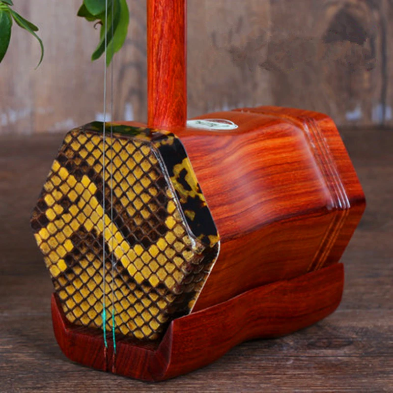 Китайский народный струнный инструмент Erhu Huqin Strik Muziek красные сандалии