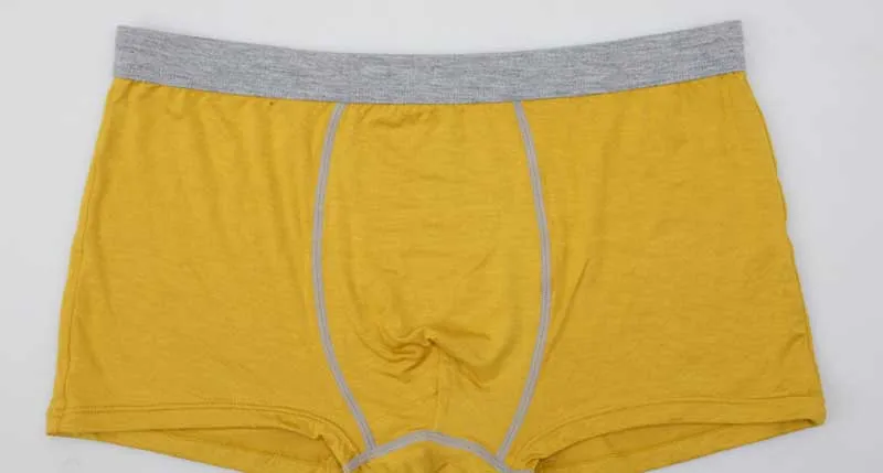2018 Shorts Mens Underwear Soft Boxers Cotton Modal Boxer Men Solid Boxer Shorts Plus Size Boxers Mens Underwear (13)