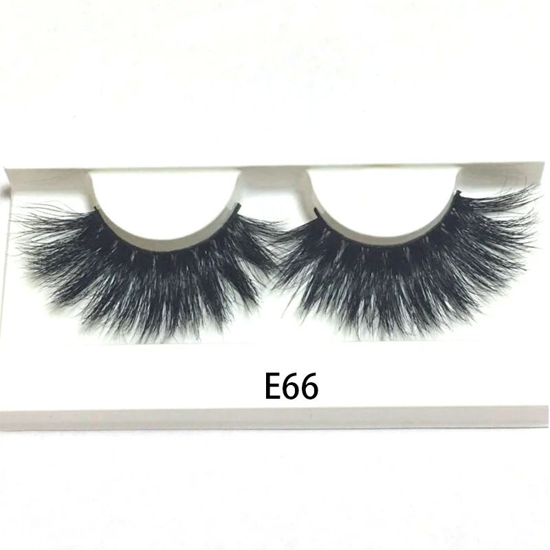 660=E66