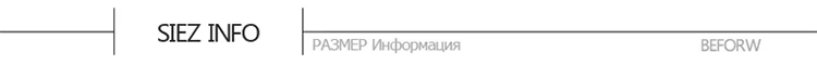 BEFORW LOGO-