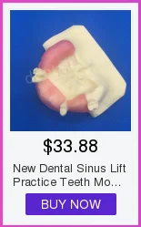 Modelo de Gesso Molde de Base de Silício Dental Bloco Completo-roxo Suprimentos Edentulous Jaw 2 Pçs - Set 33 Dental Modelo De Gesso Molde de Base