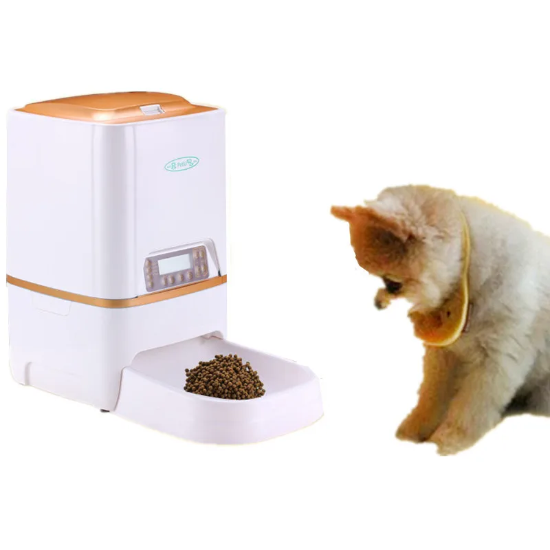 automatic digital program pet