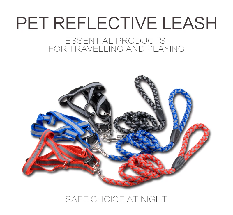 3 dog leash slip lead 