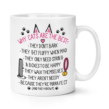

Why Cats Are The Best Cup Funny Crazy Cat Lady Animal Kitten Mug