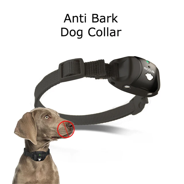 guardian training collar