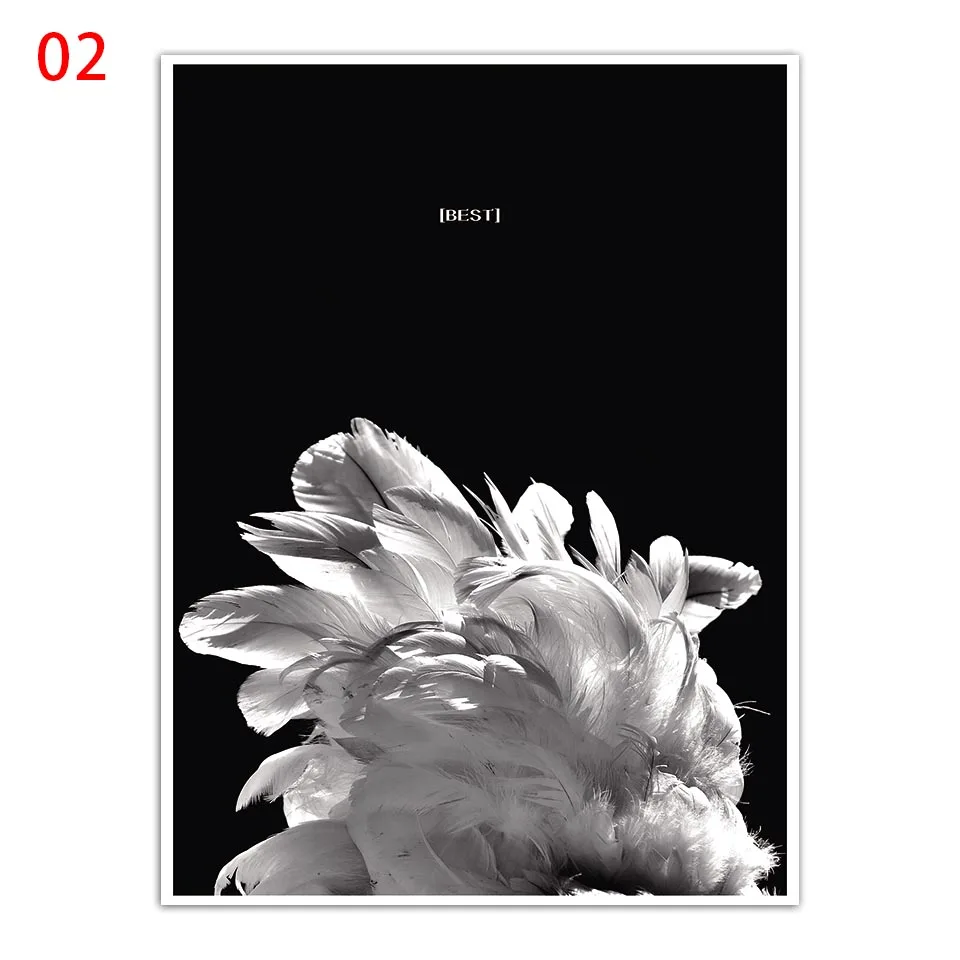 2(1)