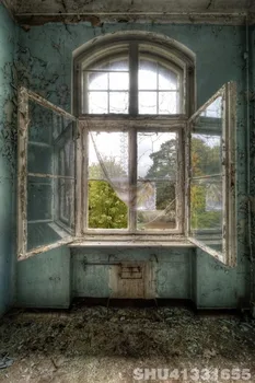 

VINTAGE Window backdrops Vinyl cloth High quality Computer printed children photo Background
