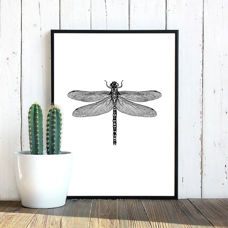 dragonfly illustration canvas prints