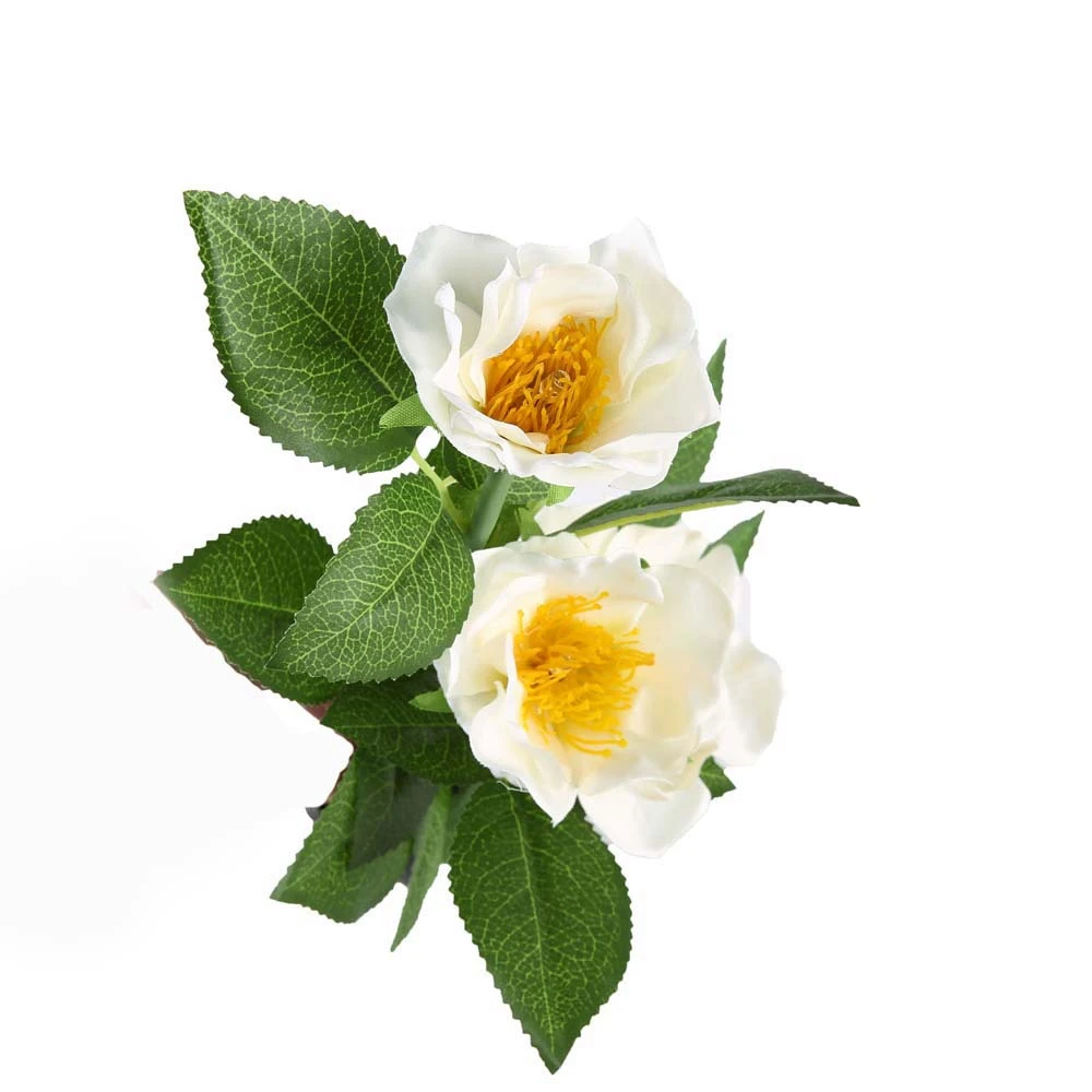 SHGO Camellia цветок Солнечный свет сад Двор Газон Ночная лампа пейзаж Сад Украшение