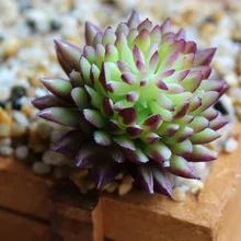 Домашнее украшение искусственный реалистичный суккуленты цветок ПВХ растение сад миниатюрный DIY домашний цветочный декоративный цветок