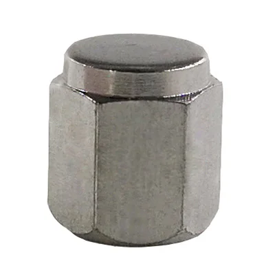 

40pcs Tyre Valve Stem Dust Covers Hex Metal Tire Valve Caps Chrome Schrader Valve Tire Wheel Rim Parts Car Accessories