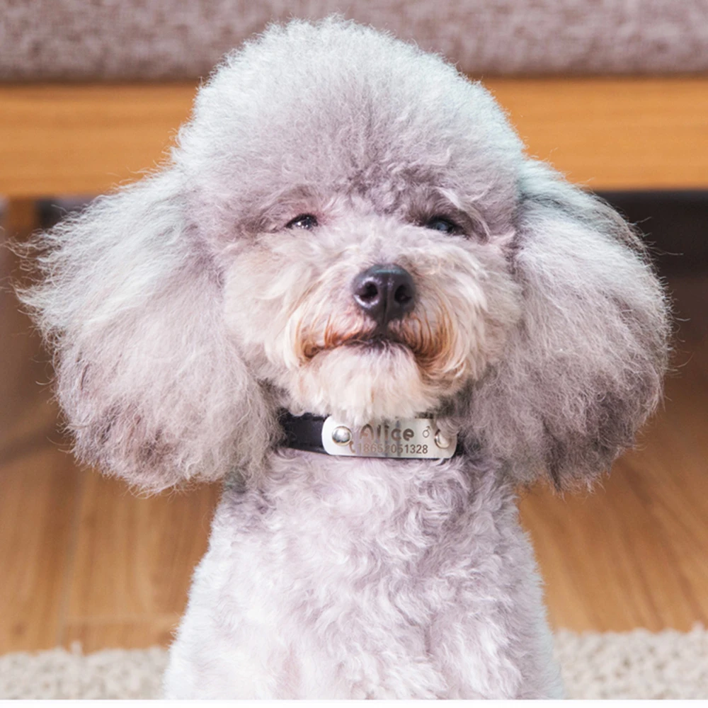 Hipidog ошейник для собак и кошек кожаное рулевое колесо крышка Бесплатная