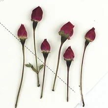 3D Красная роза бутон прессованные цветы лепесток ремесла натуральные образцы для праздников карточные украшения 100 шт