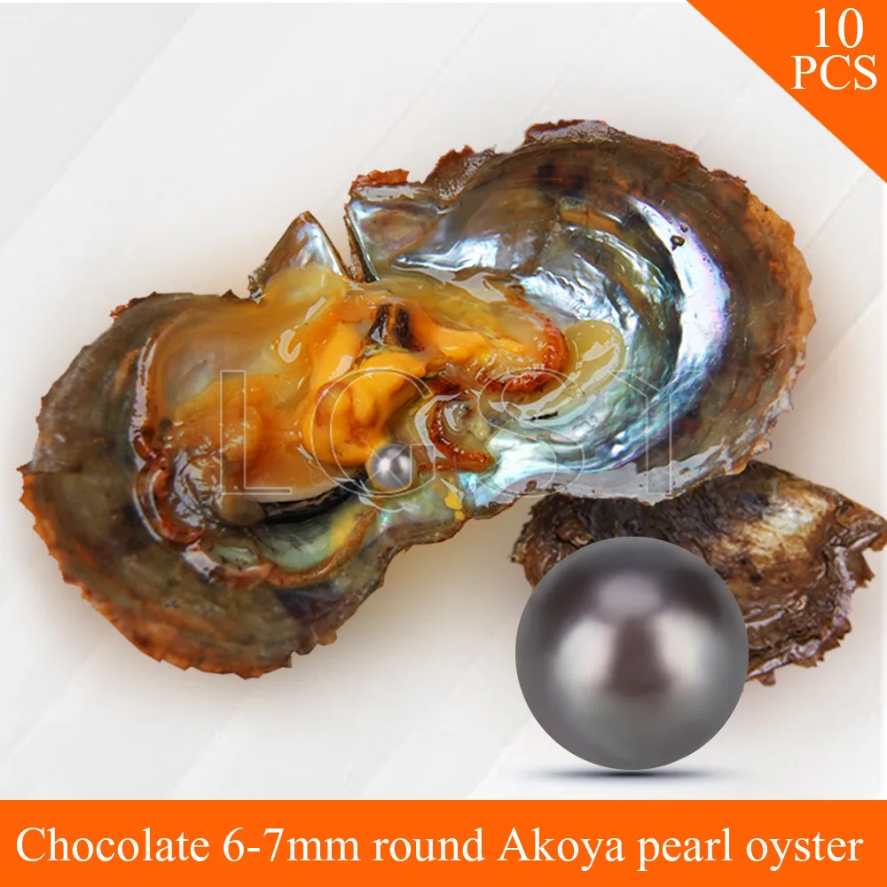 

Bead Chocolate 6-7mm round Akoya pearls in oysters with vacuum package for women jewelry making 10pcs