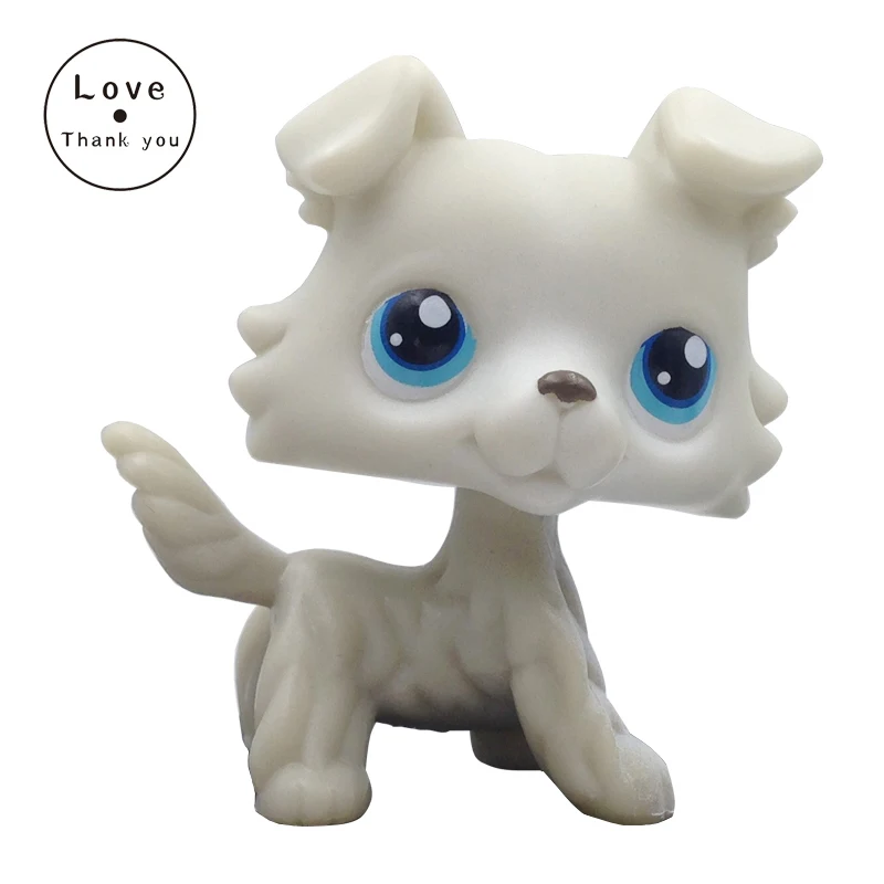 pet dog COLLIE 363 Light Grey Blue Eyes Collie Dog Girl toys