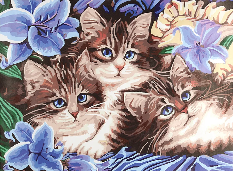 Новые фотографии по номерам Аннотация животных Cat DIY картина маслом на цвет холст