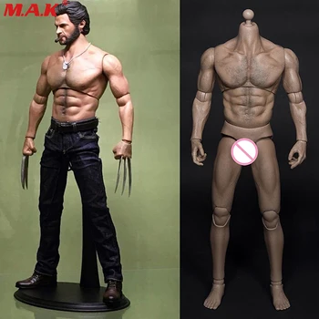 

1/6 male man muscle body Wolverine Logan figure 31CM wide shoulder AT012 fit HT hot toys head sculpt and pants toys accessory