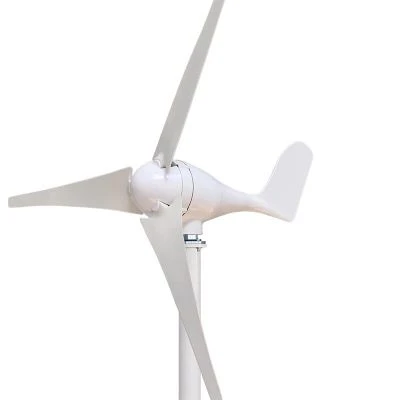 600w700w 水平軸小型家庭用風力タービン風力発電 24v48v Alternative Energy Generators Aliexpress