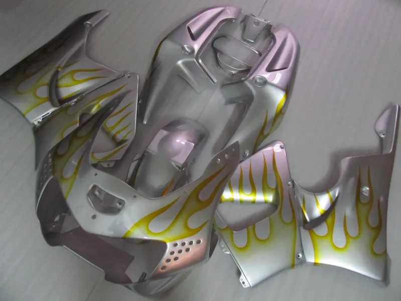 

Motorcycle Fairing kit for HONDA CBR900RR 919 98 99 CBR 900RR CBR900 1998 1999 ABS Golden flames Silver Fairings set+gifts HG16