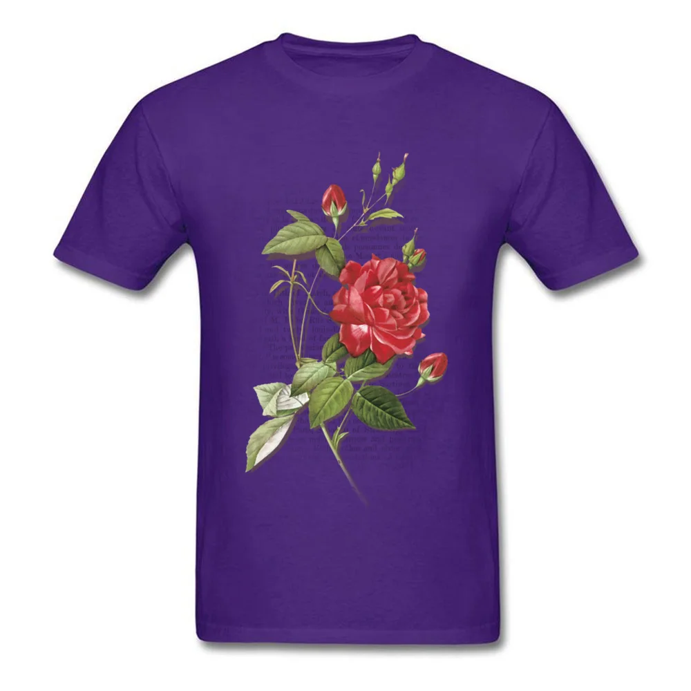 Rose Rouge Red Rose_purple