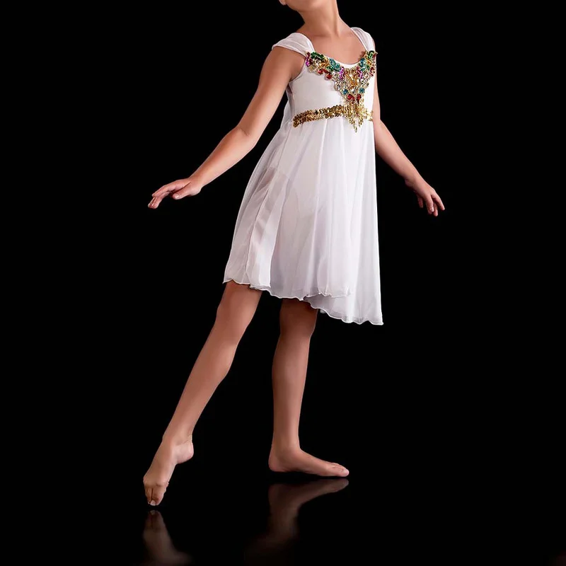 

Girls Elegant Lyrical Modern Dance Ballerina Dress Swan Lake Ballet Costume Child Blue Pink White Red Ballet Clothes For Kids