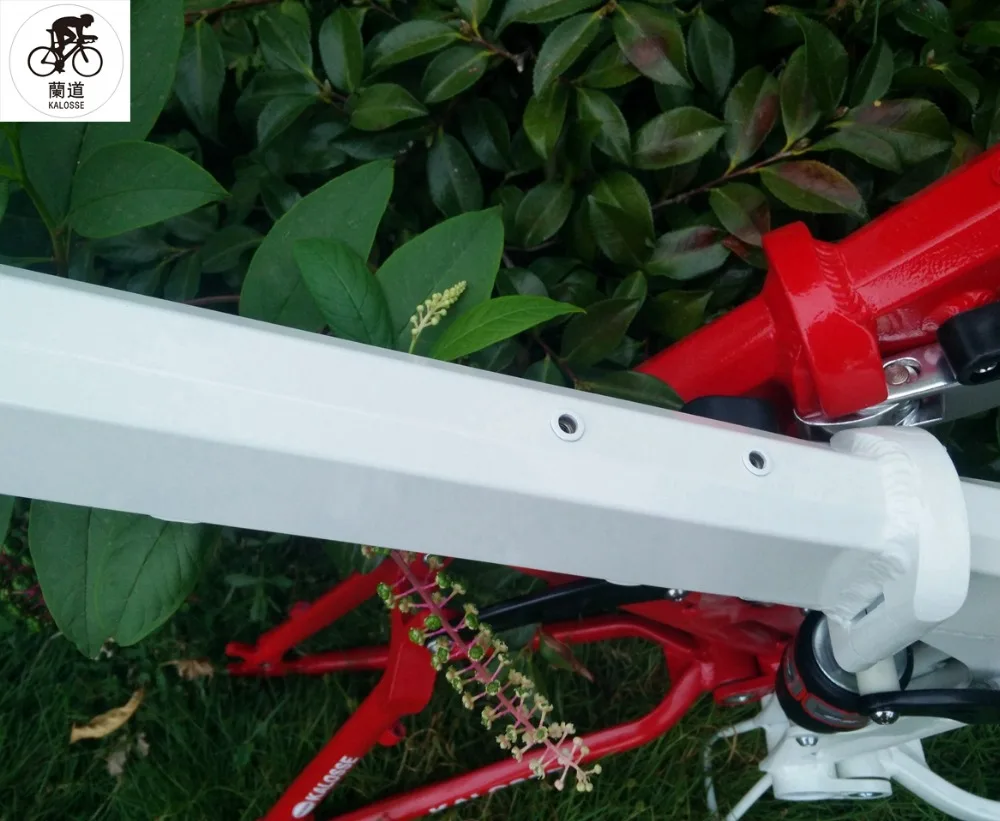 Excellent Kaloss DIY  colors    bicycle parts  mountain  bike frame  17 inch ,  26 inch  folding MTB  frame 1