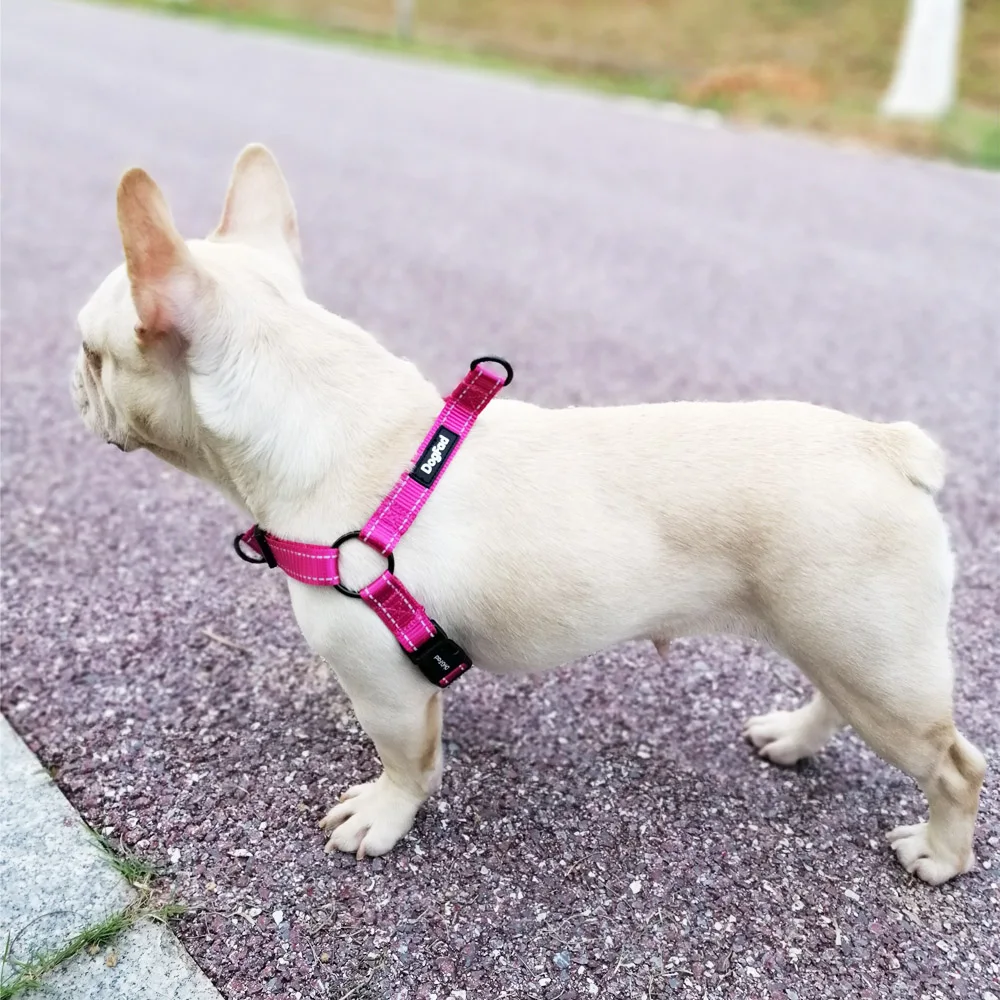 easy walk harness attachment