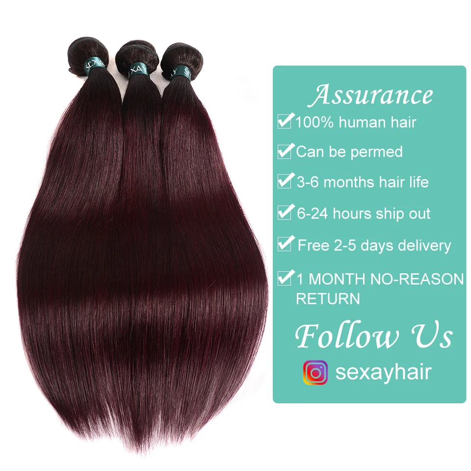 Ombre Hair 3 Bundles With Closure Sexay Professional 1B/99J Burgundy Dark Wine Red 100% Human Hair Brazilian Straight Human Hair