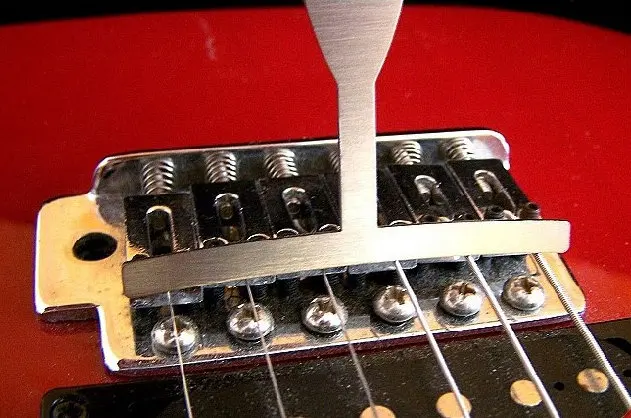 231